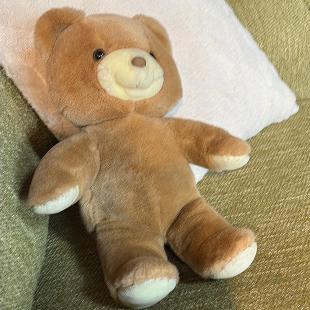 Records voice Sgt Express stuffed voice recording removable box bear 1986